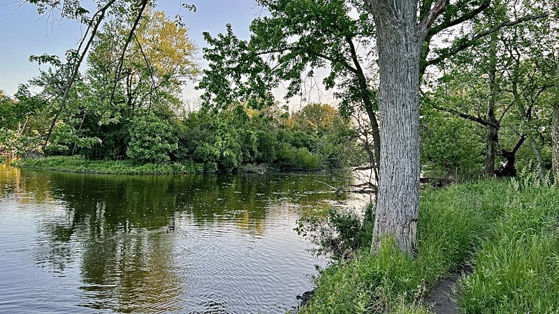 8F1195D2-246B-46F0-A335-AF0247B82BE8